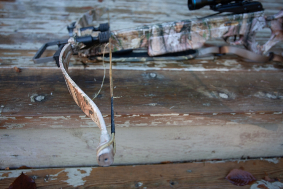    Shutterstock/FOTODOM