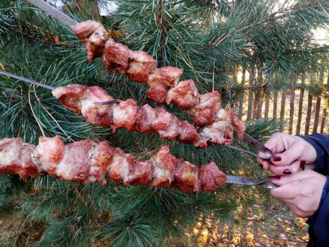    Фото: Елена Костюченкова