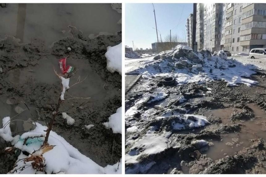    Фото: Om1 Новосибирск