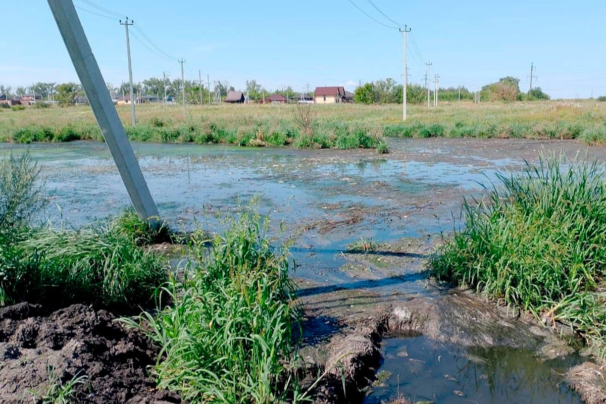    Фото: Министерство экологии Тамбовской области, источник: opr.tmbreg.ru