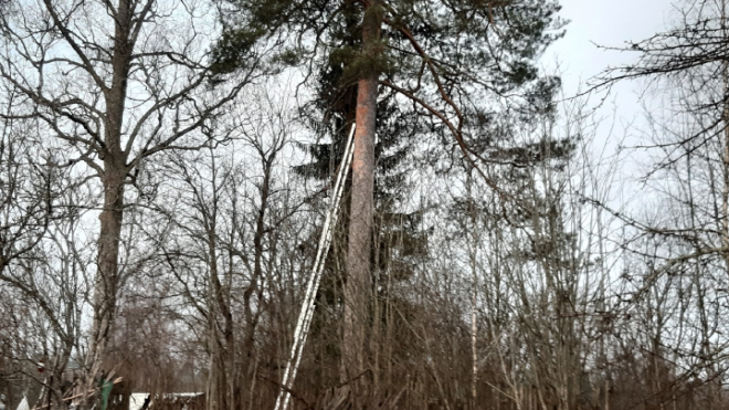 Фото: https://vk.com/wall-13144162_65105