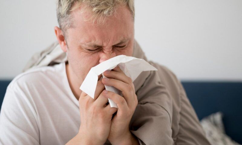    Фото freepik.com