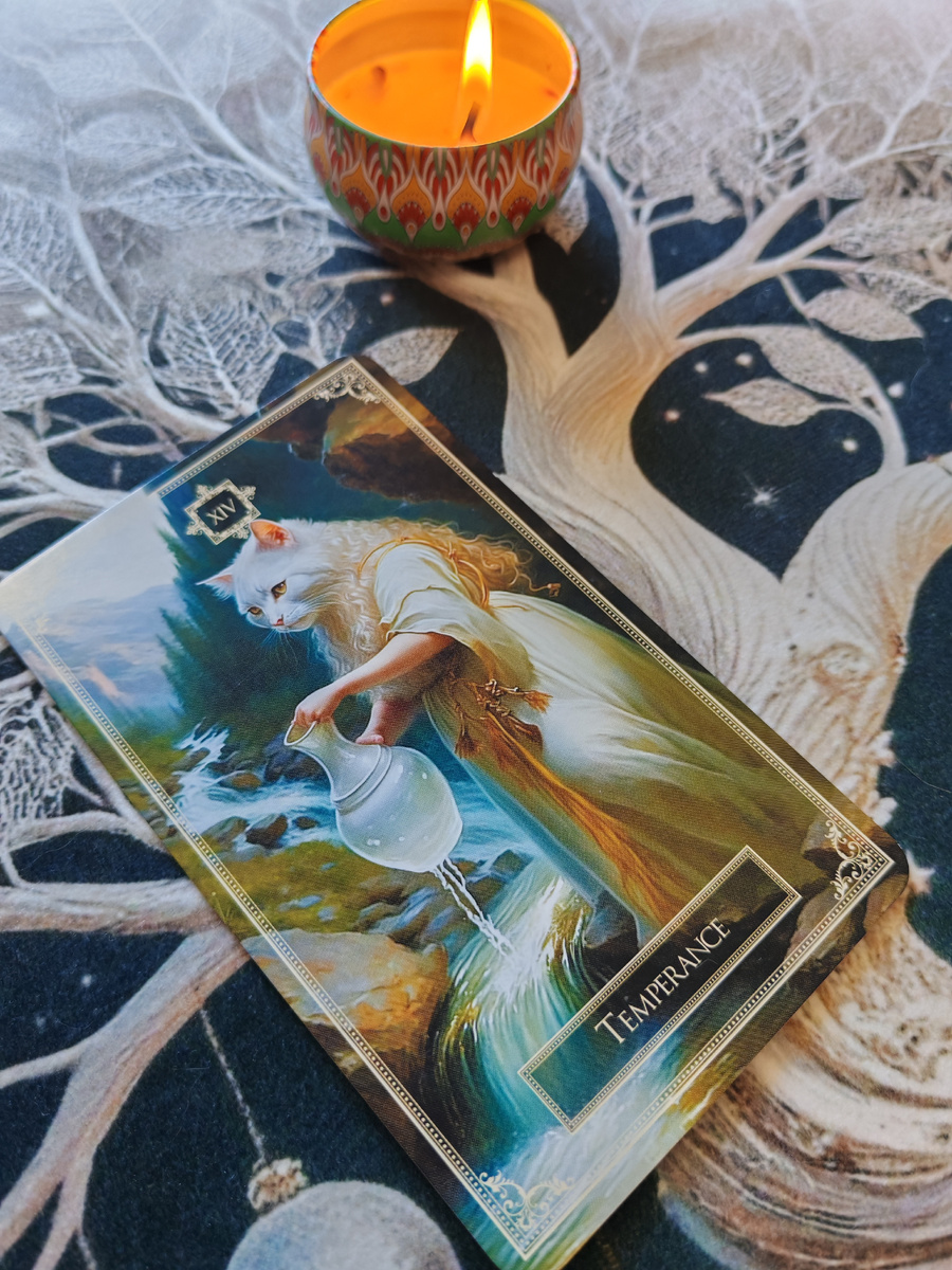 Умеренность