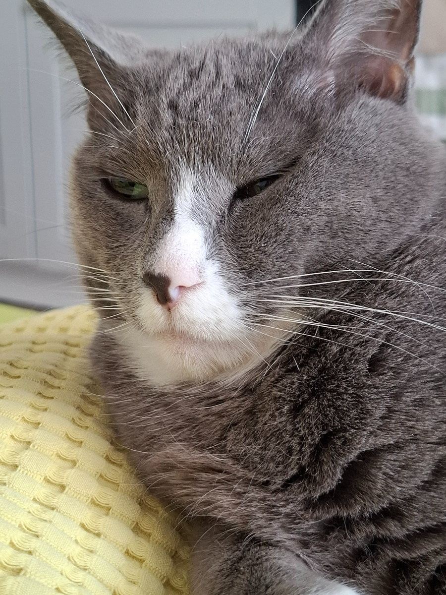 Шоб я так жила и так себя любила😽