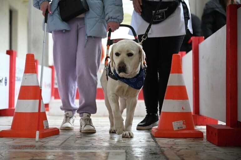   Рамиль Ситдиков/РИА Новости