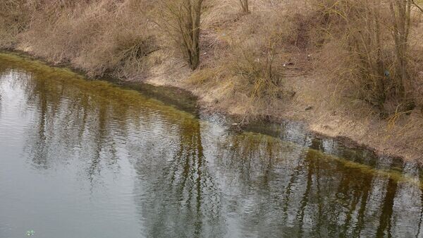    © Sputnik / Osmatesco