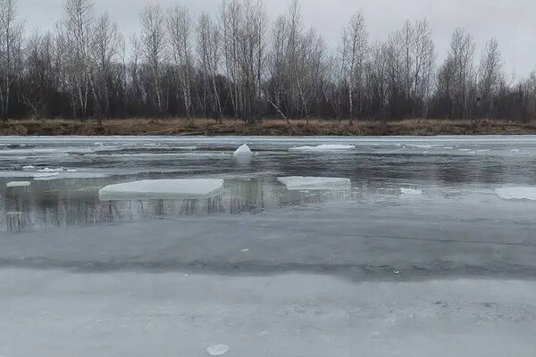 СУ СК России по Красноярскому краю и Республике Хакасия   📷