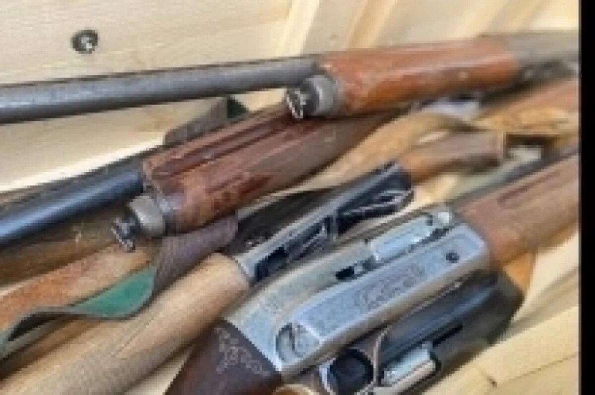    Двух томских должников по алиментам лишили лицензий на оружие