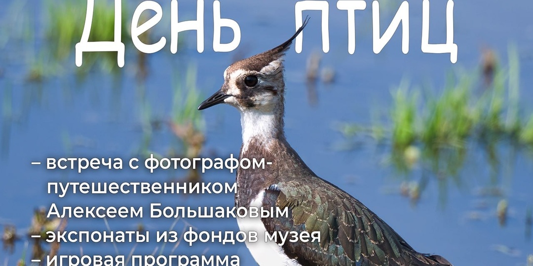 «День птиц» пройдет в Иркутском краеведческом музее