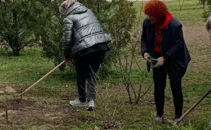 Высадка роз. Фото официальной страницы Руслана Заплавского