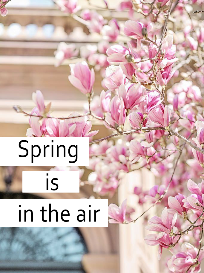 Весна в Англии Spring in the air