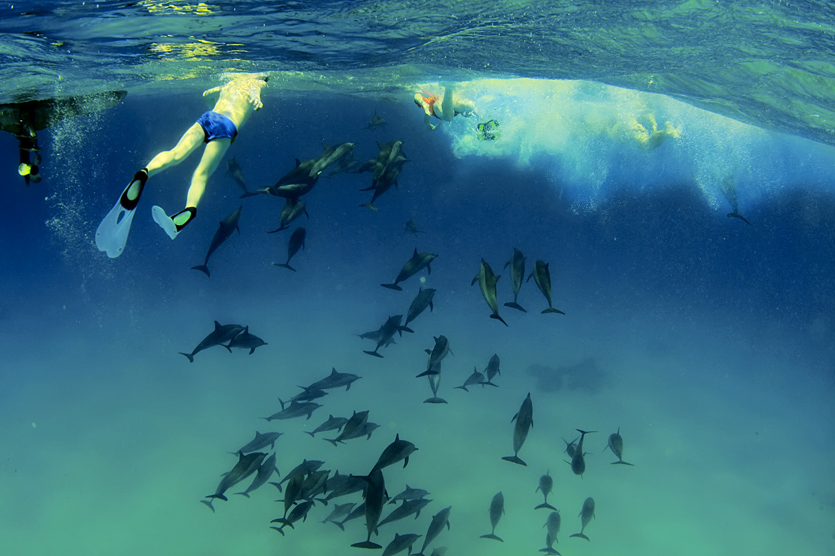 Автор фото: евгений измайлов. Источник: Wikimedia