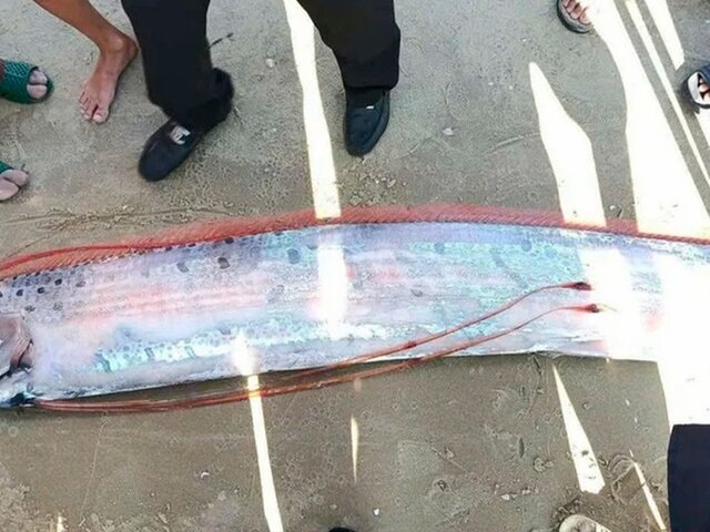    Фото: vietnam.vn