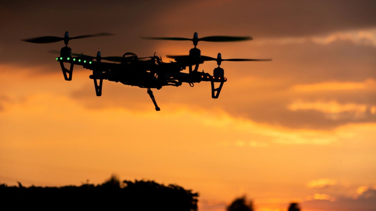    Фото: Wirestock Creators/ Shutterstock / Fotodom