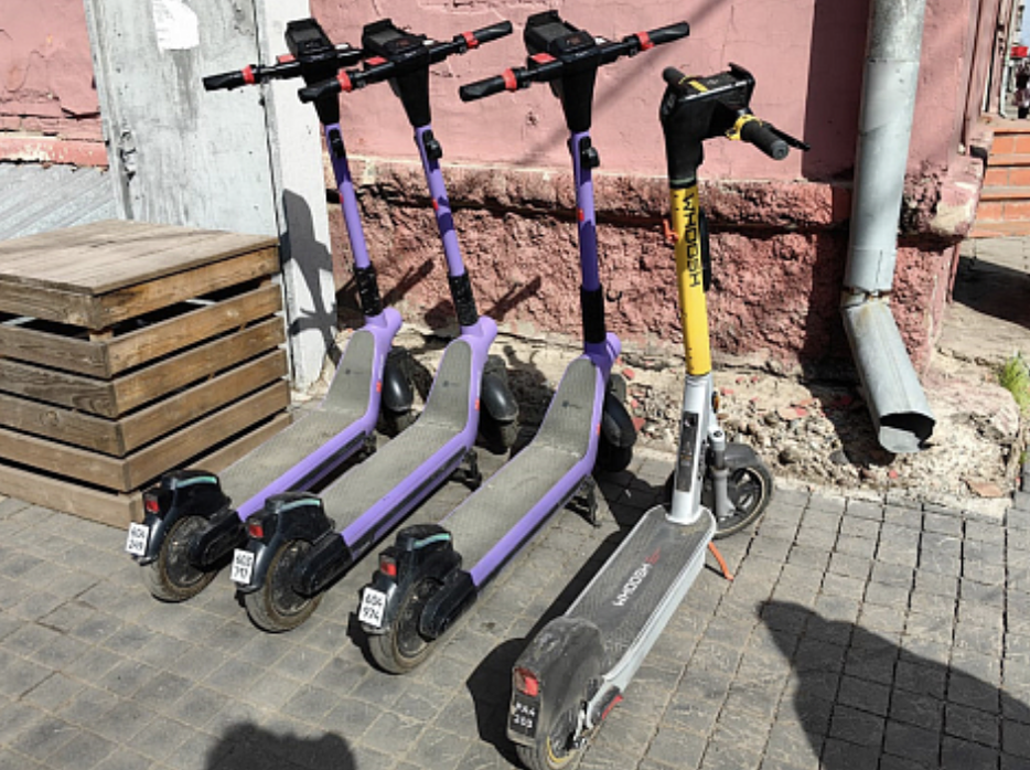 Фото: мэрия Красноярска