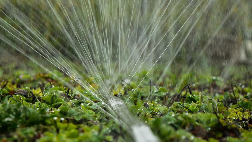 Фото: Telegram-канал главы Крыма Сергея Аксенова