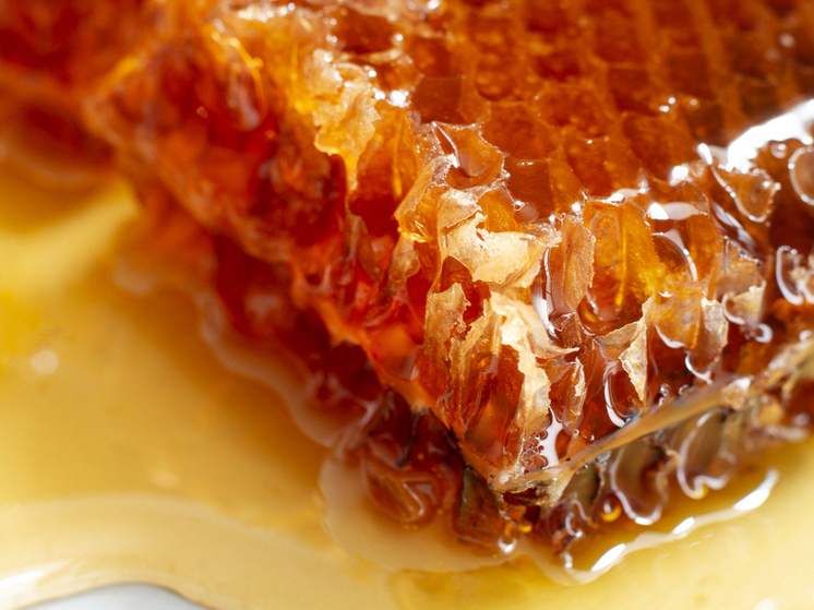     Фото: ru.freepik.com