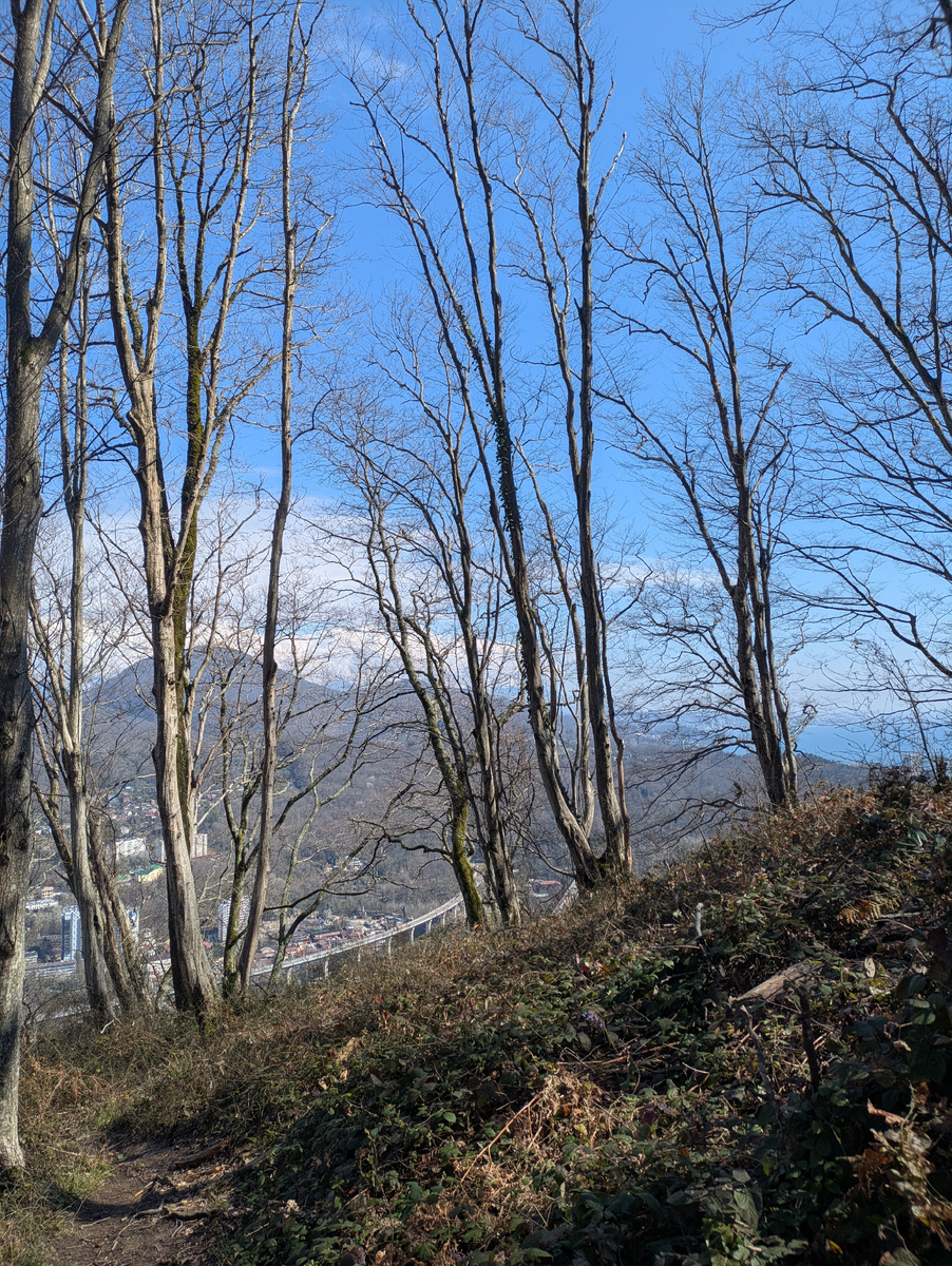 Виды по дороге на гору Бытха