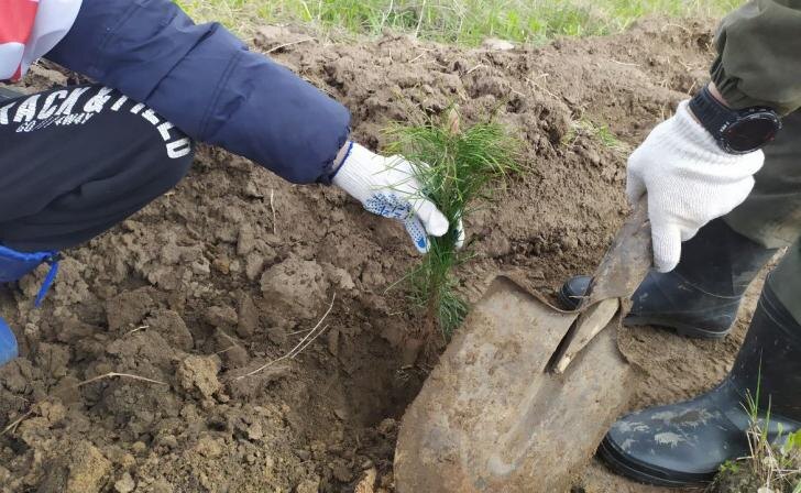    фото Курские известия