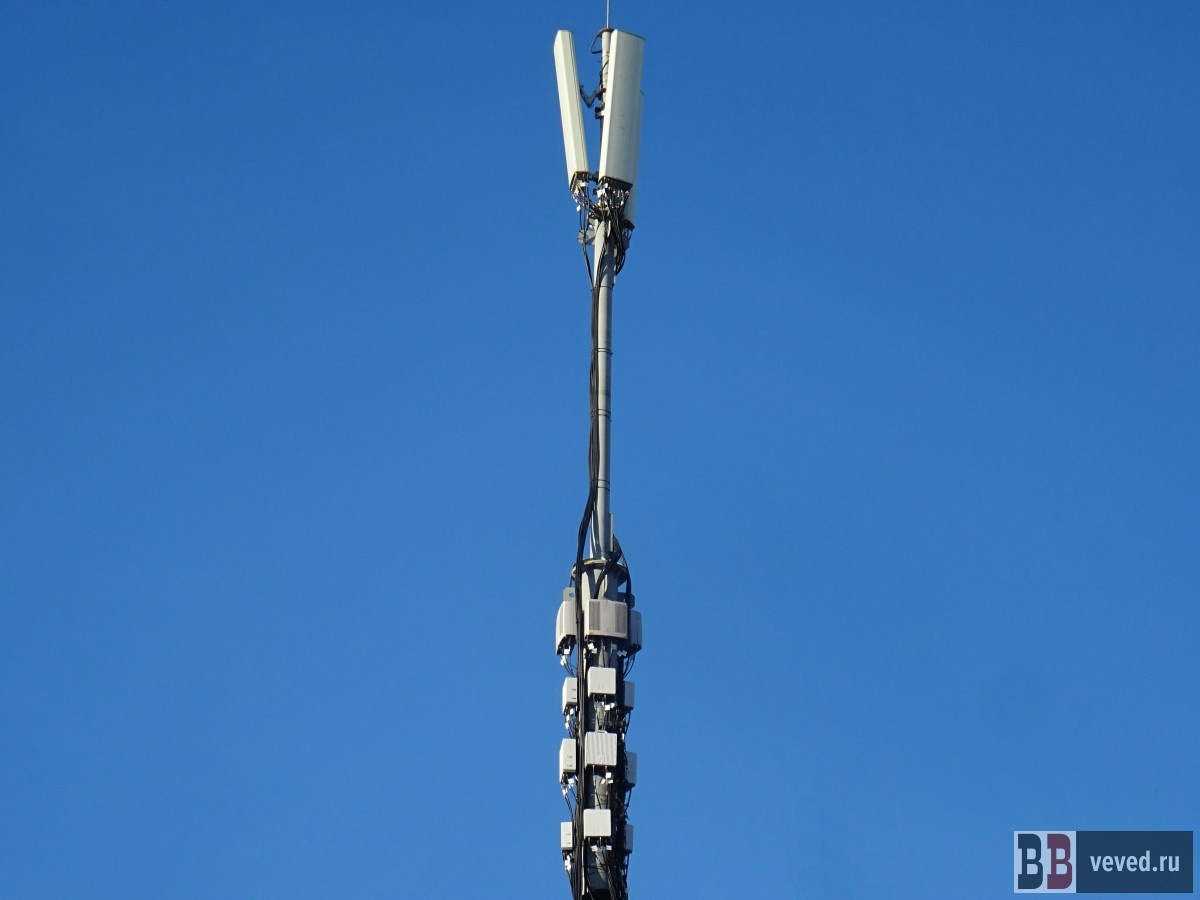     Фото: Владислав Постников / Вечерние ведомости