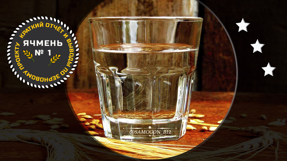 Краткий отчёт и выводы по зерновому проекту «Ячмень». Коллаж сделанный автором вручную ©