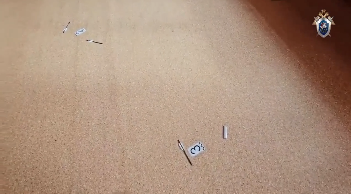 Фото: СУ СКР по Челябинской области