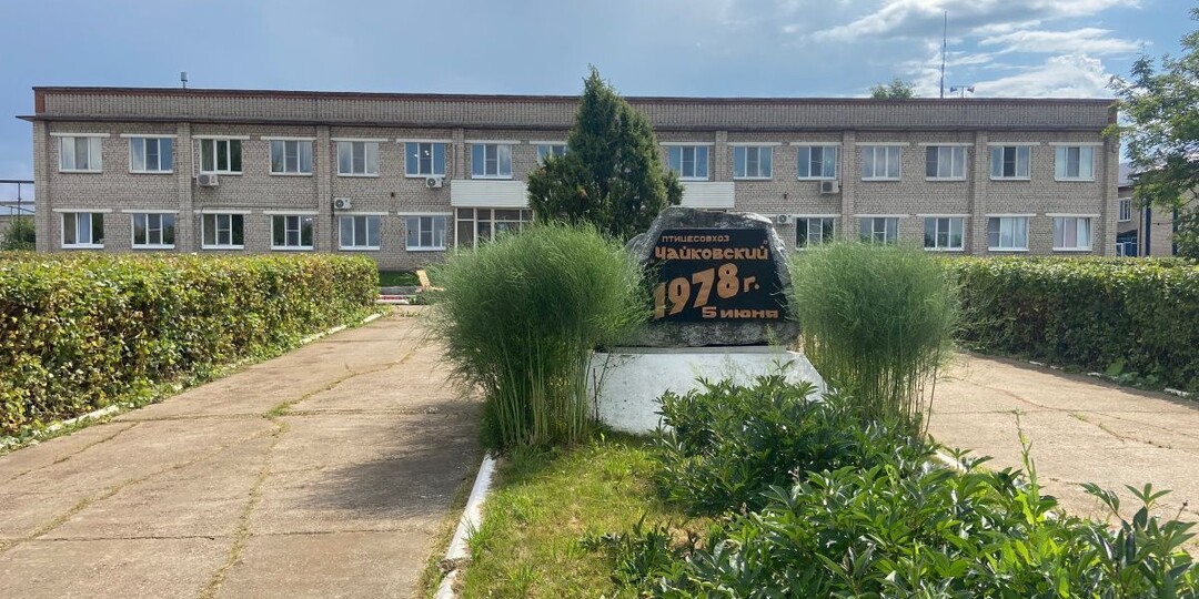 Чистая прибыль АО «Птицефабрика Чайковская» упала из-за модернизации в 2025 году