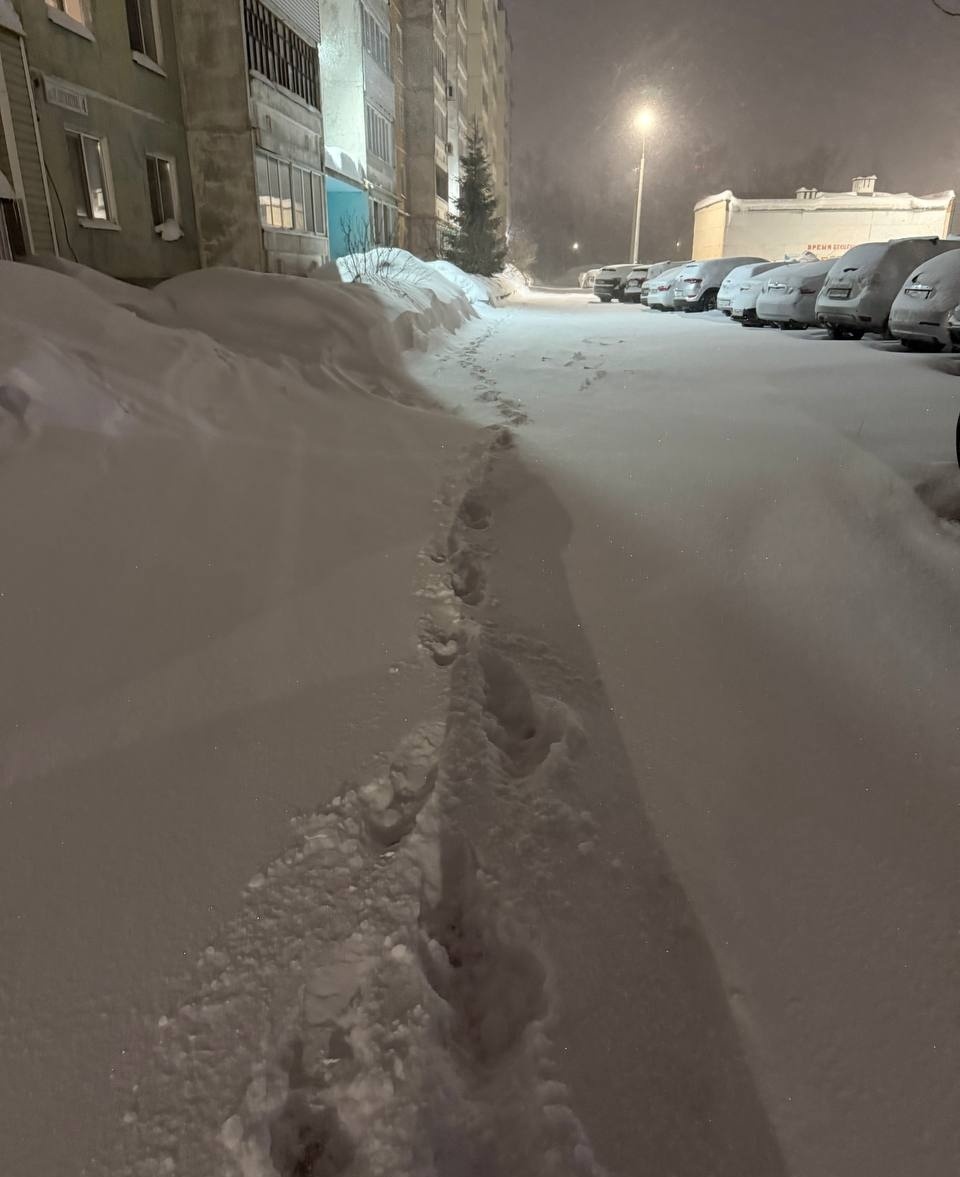 Раннее утро 8 марта после ночной смены