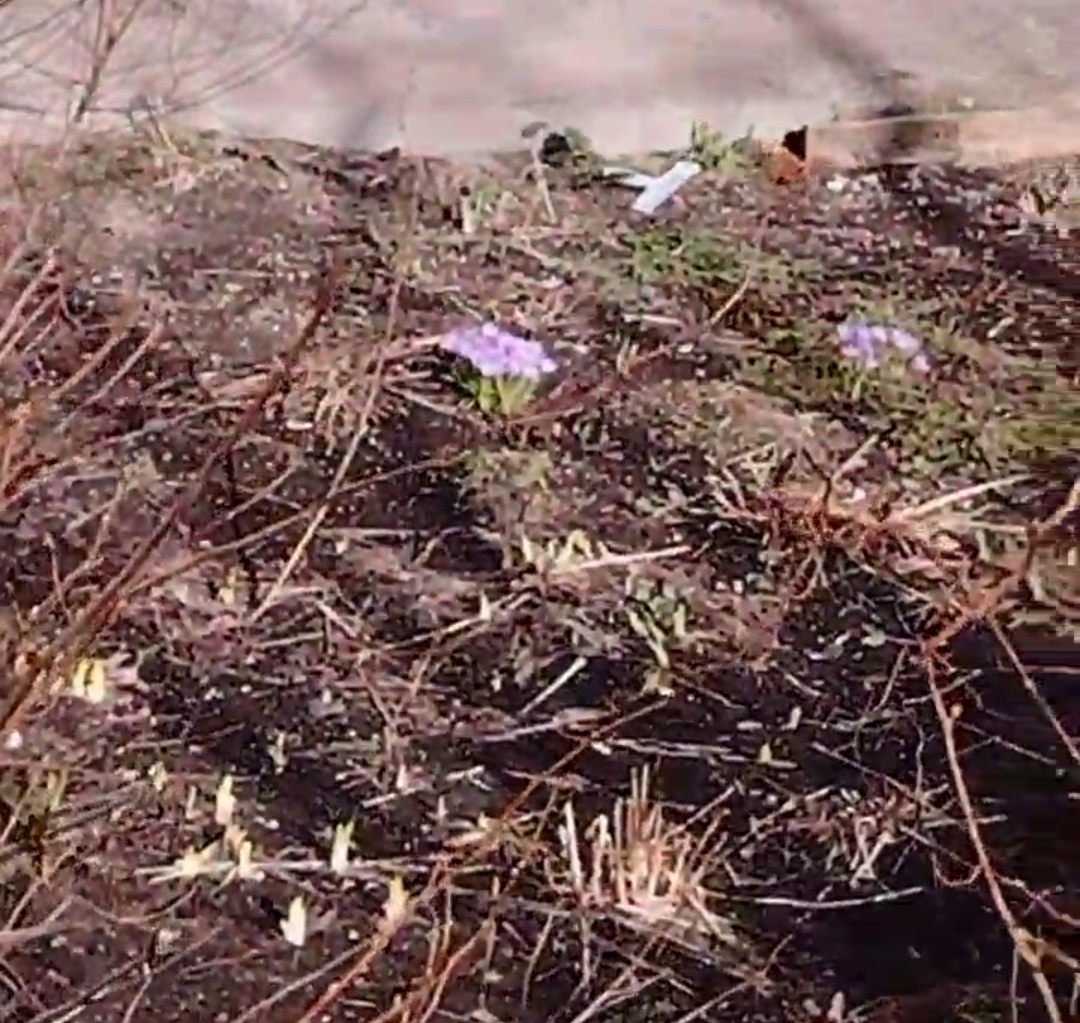 Спустя две недели на солнечной стороне....