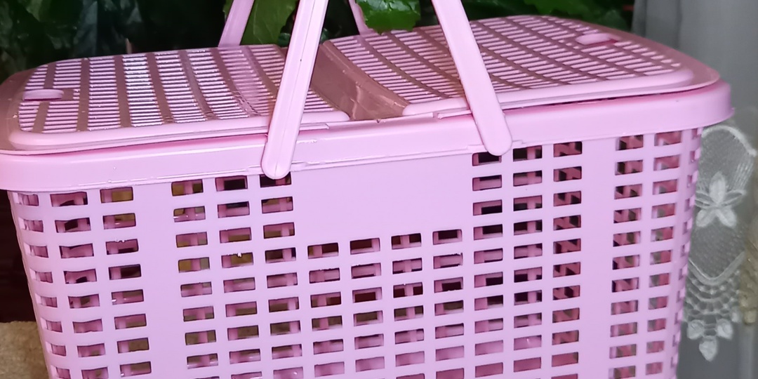 26.03.26. Немного находок.