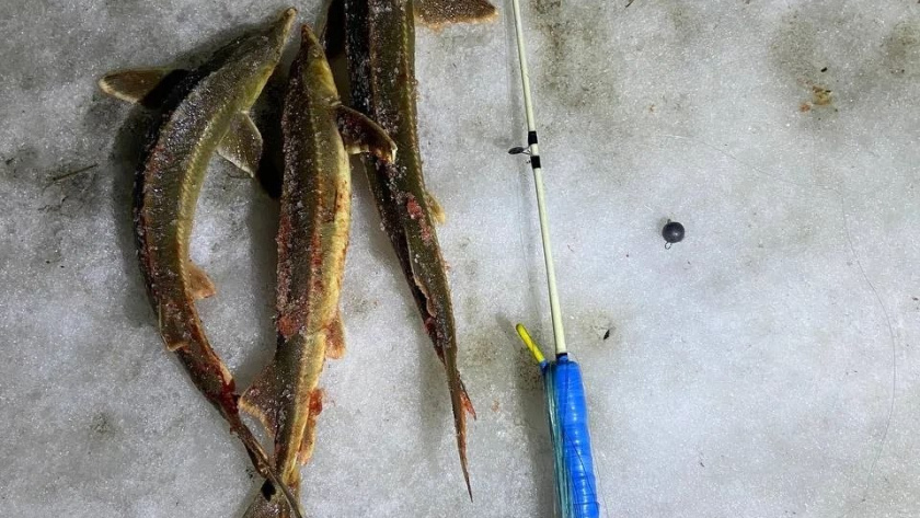    Пресс-служба УТ МВД России по ПФО