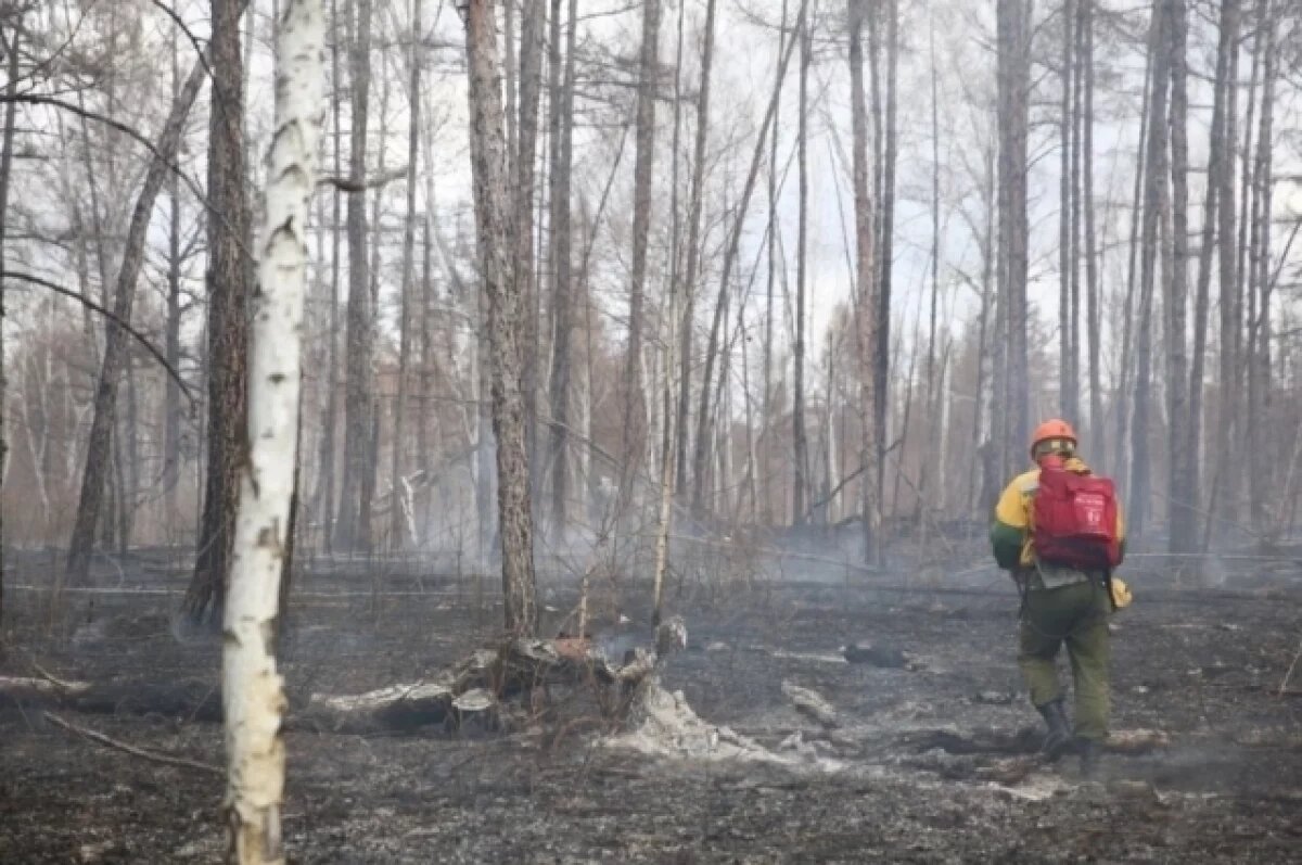    В Забайкалье введут особый противопожарный режим