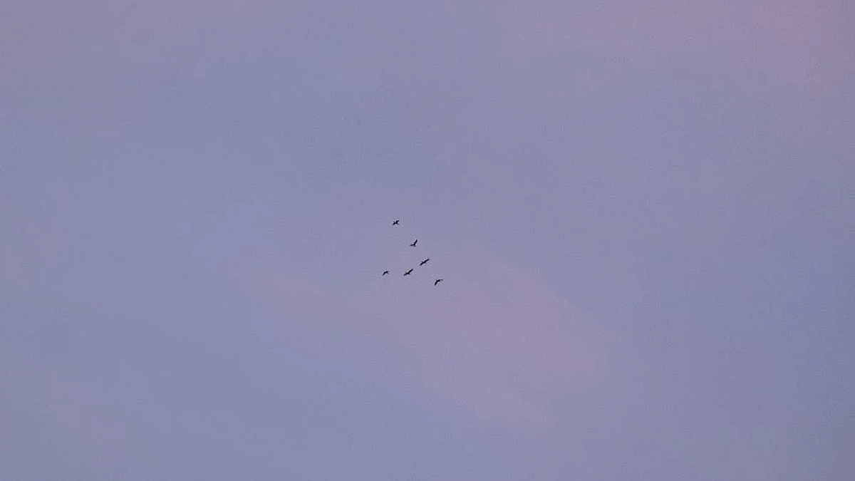    Фото: телеканал «Краснодар»