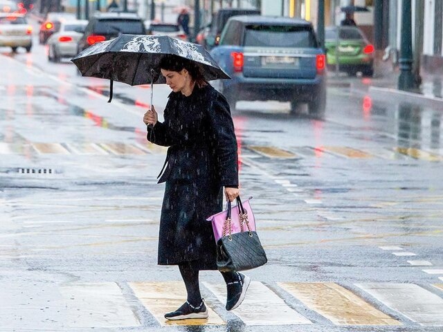    Фото: портал мэра и правительства Москвы/Юлия Иванко