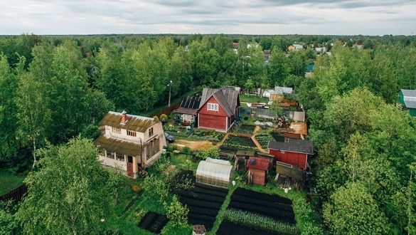 СНТ из интернетов