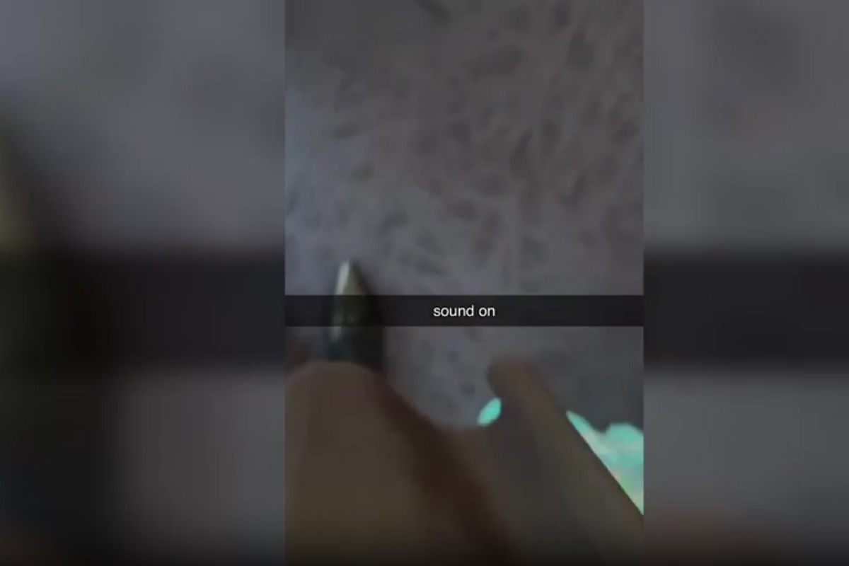    Фото: кадр видео, источник: соцсети Белого дома