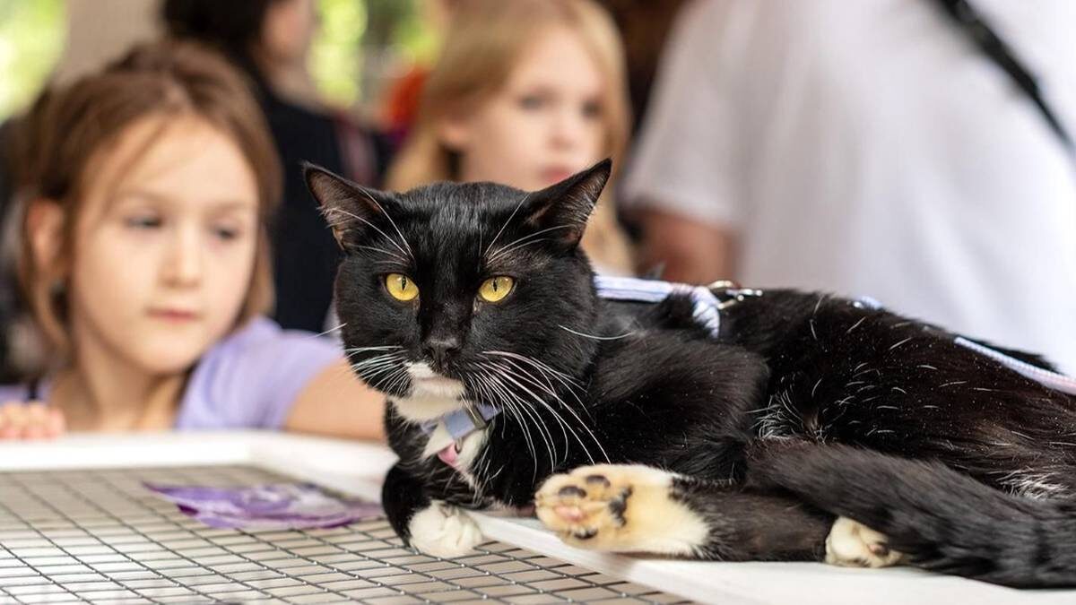    Фото: mos.ru / Официальный сайт мэра Москвы