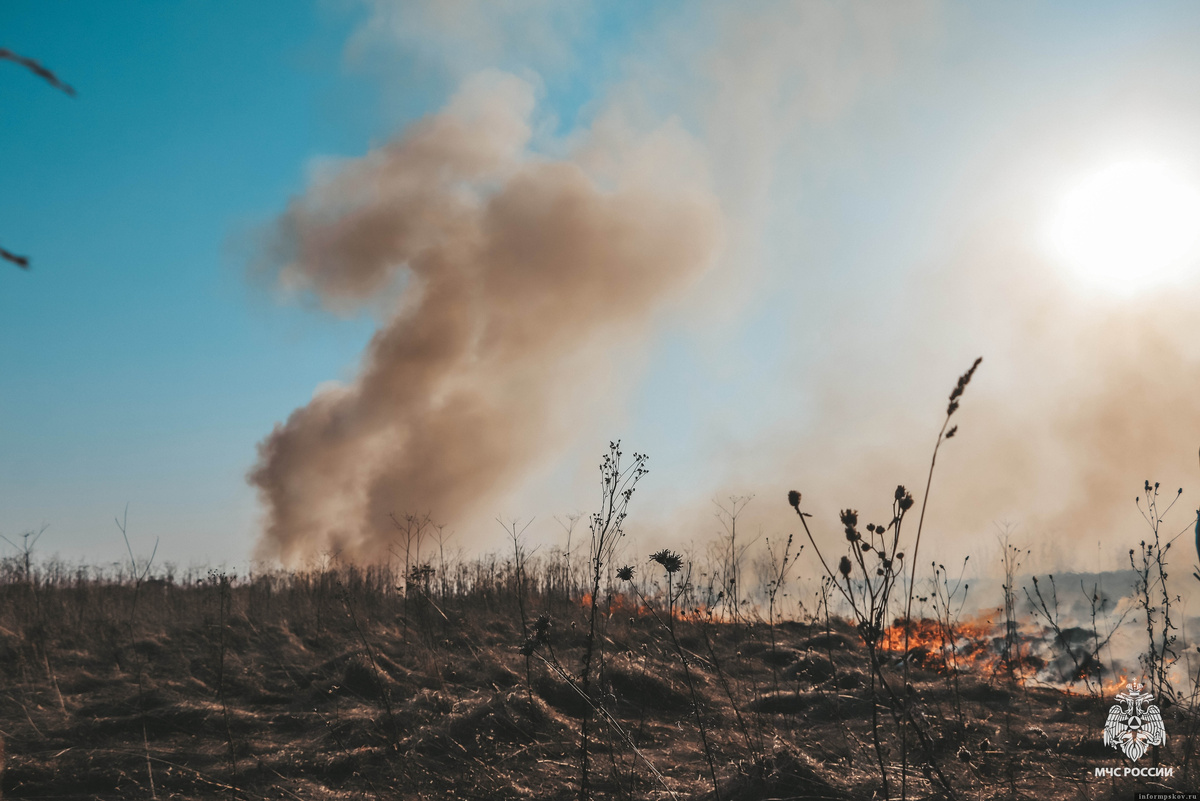Фото: пресс-служба МЧС России