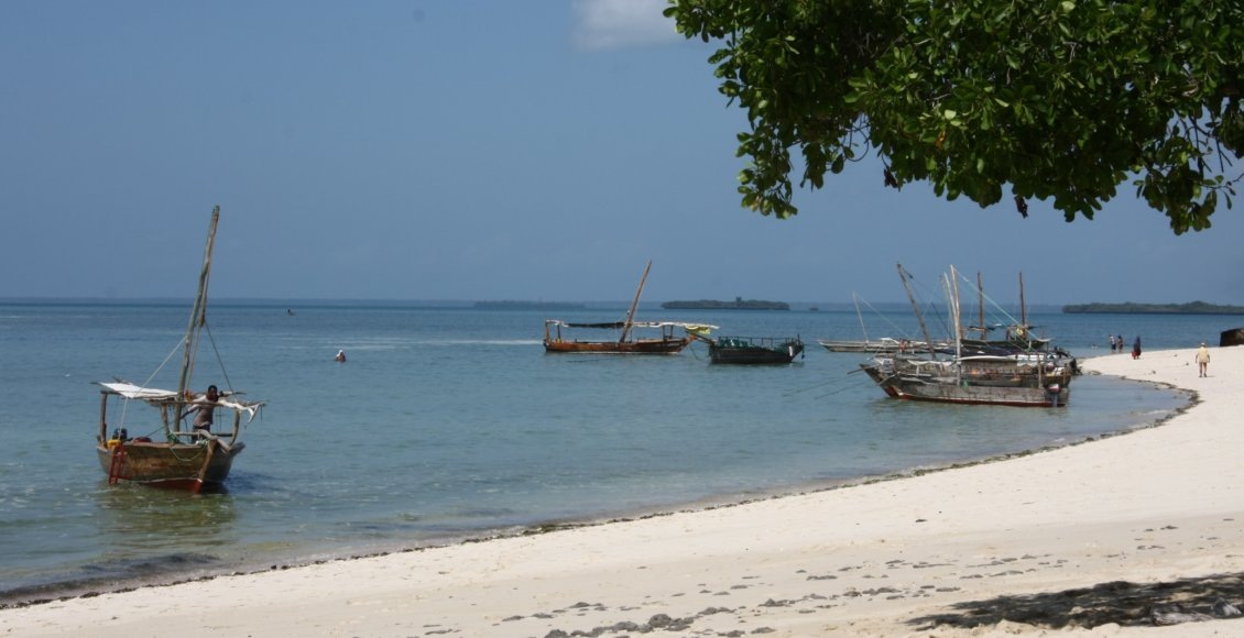    Фото: НИА "Экология"