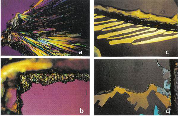 фото из Science in Society Archive