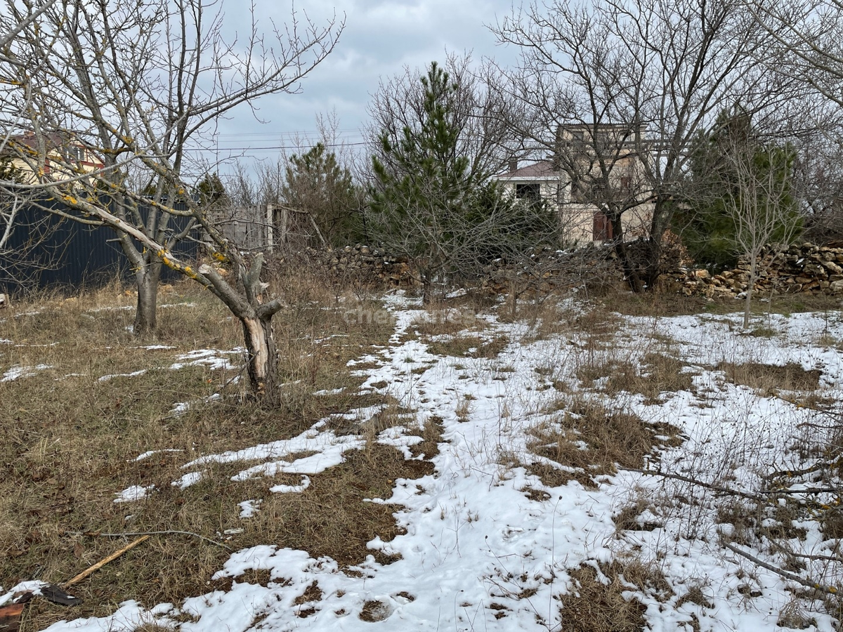 Источник изображения: https://www.chersonese.ru/