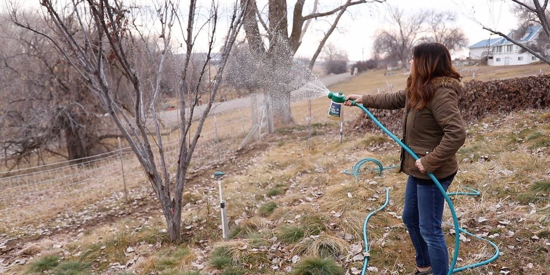 Первое опрыскивание деревьев весной: как, чем и зачем.