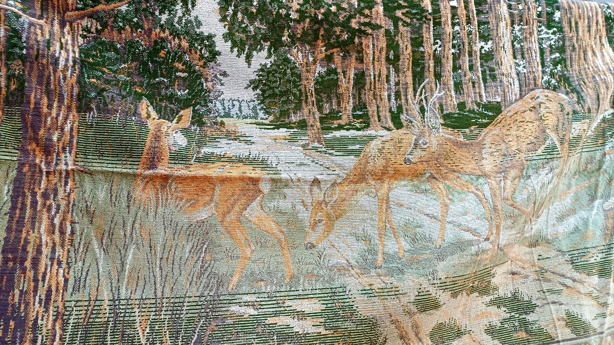 Утро начала с осмотра ковра с оленями. Фото автора