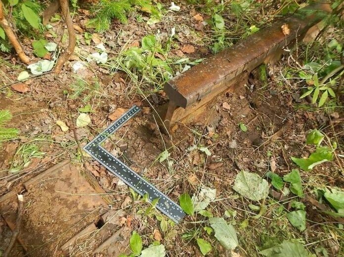    ГУ МВД России по Пермскому краю