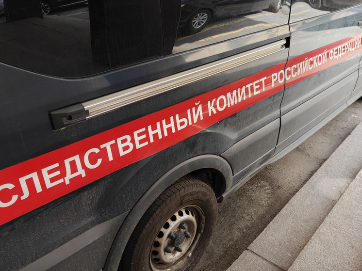     фото: архив мк в Мурманске.