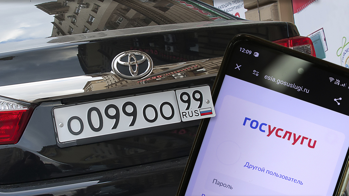 Фото Яндекс Картинки