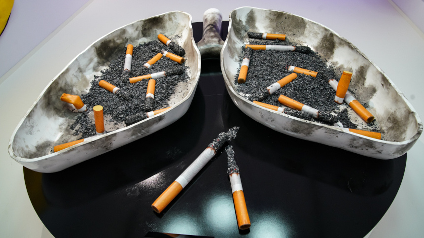    Фото: ИЗВЕСТИЯ/Сергей Лантюхов