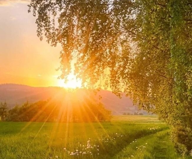 🌅 Заря-заряница: Ритуал «Золотой нити» на удачу