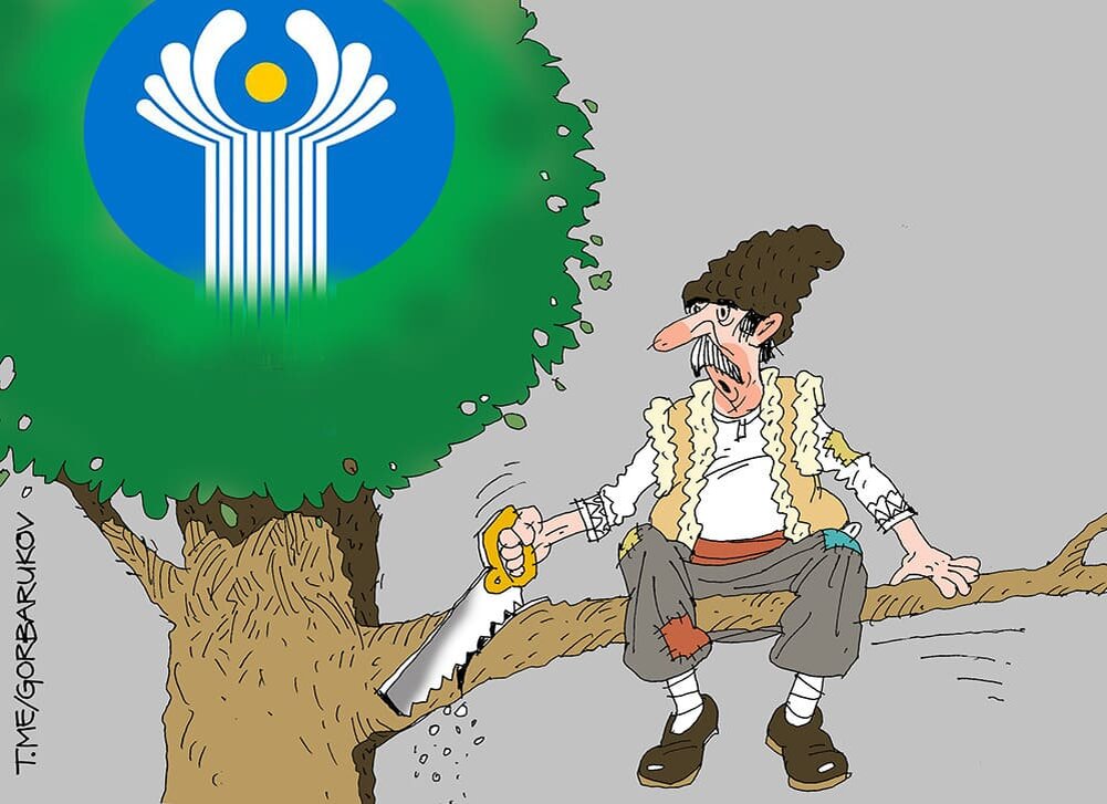 Рис.: А. Горбаруков