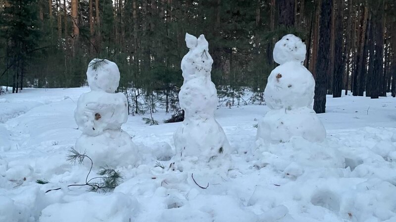     Снеговики в марте. altapress.ru